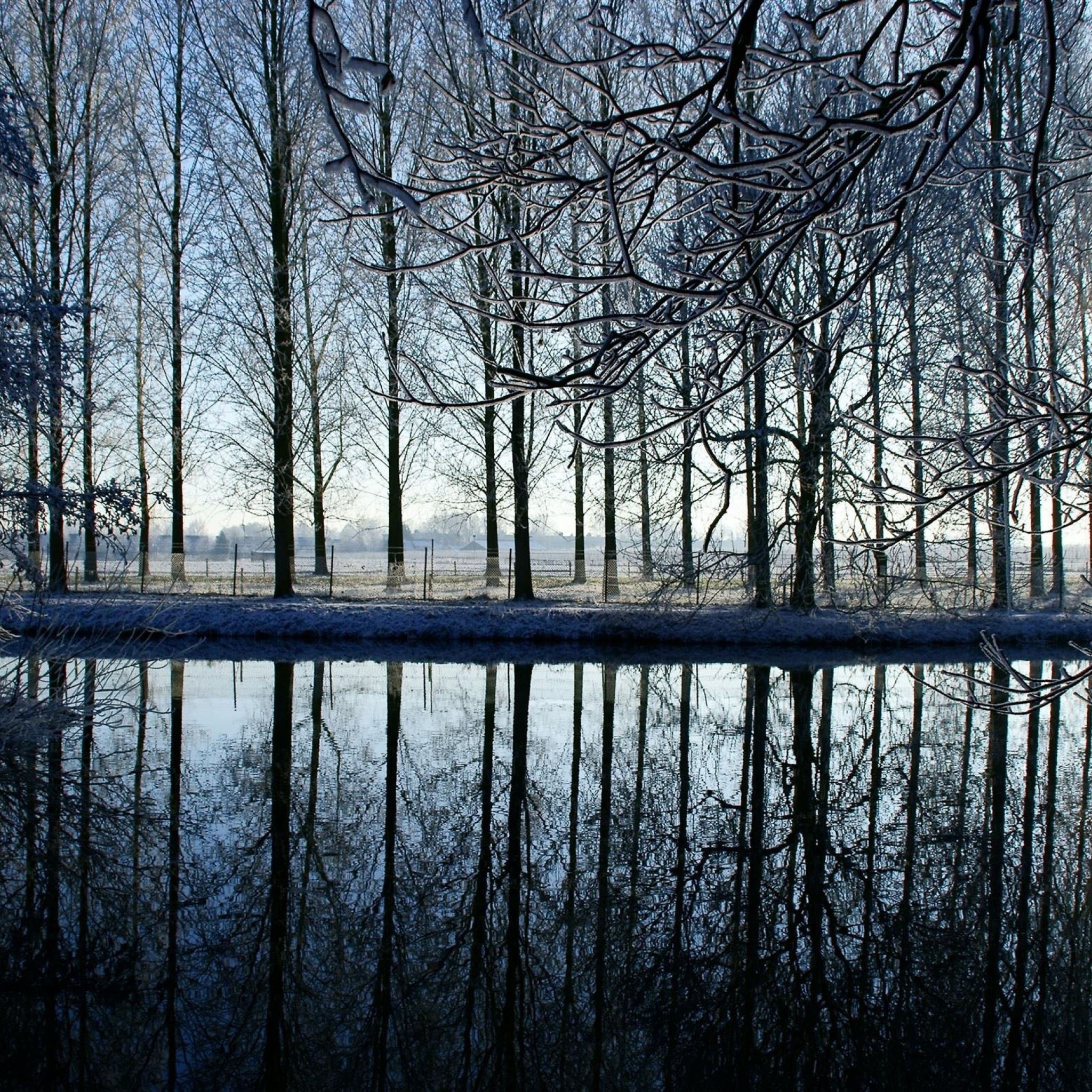 Reflection Kromme Rijn River iPad Air wallpaper 