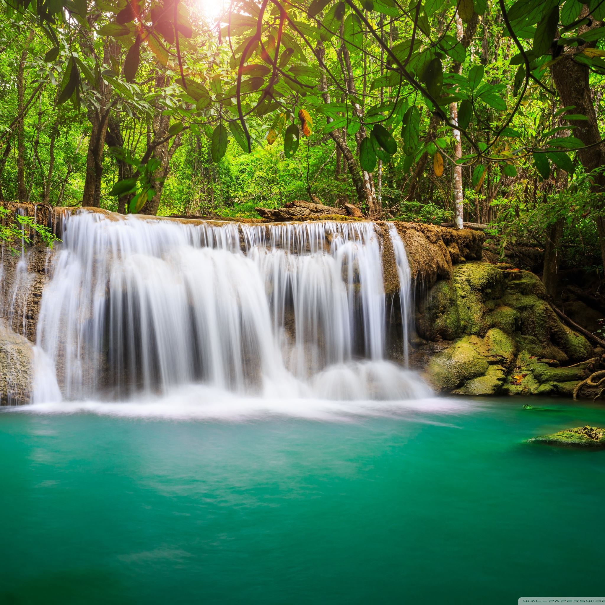 rainforest waterfall iPad Air wallpaper 