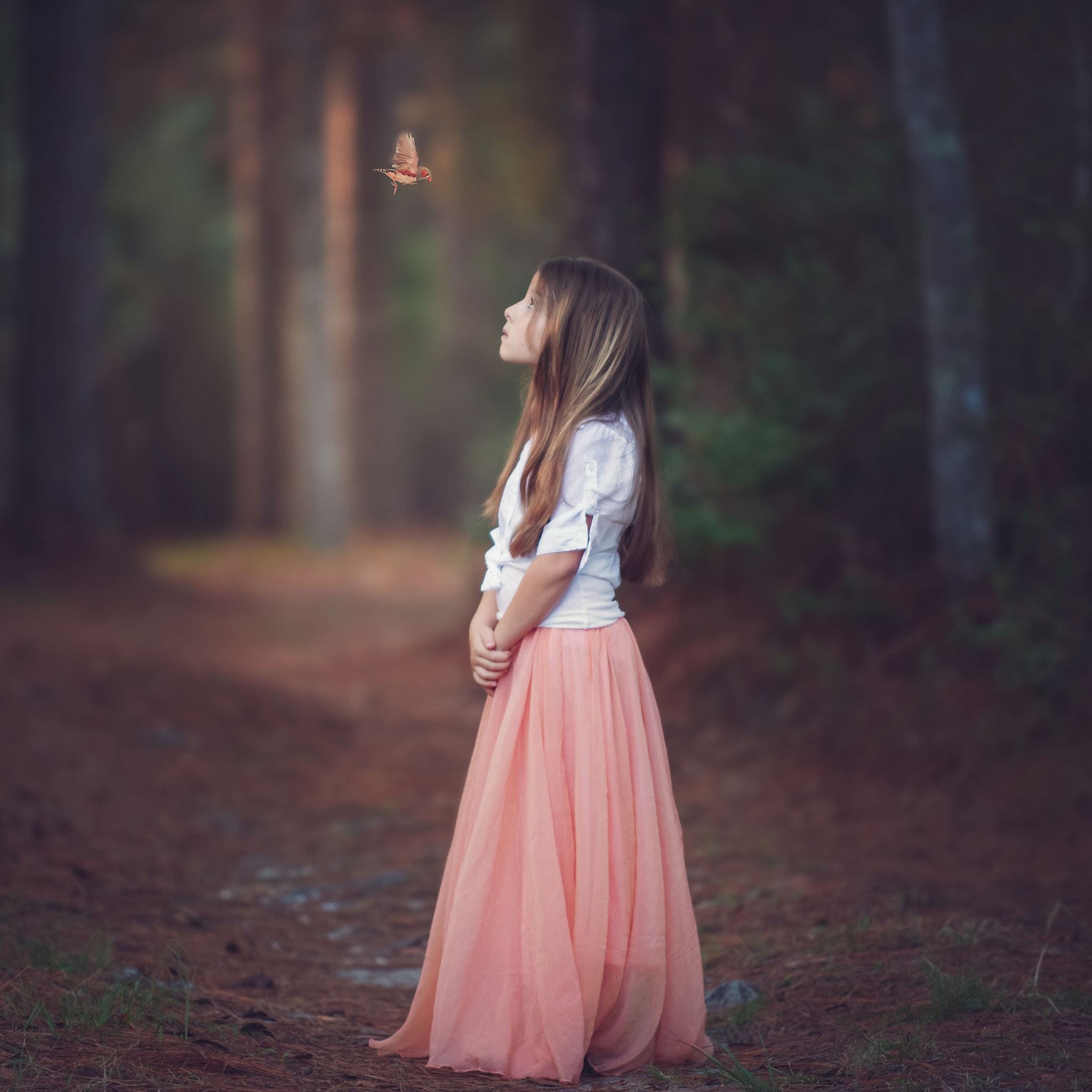 Girl in the forest iPad Air wallpaper 