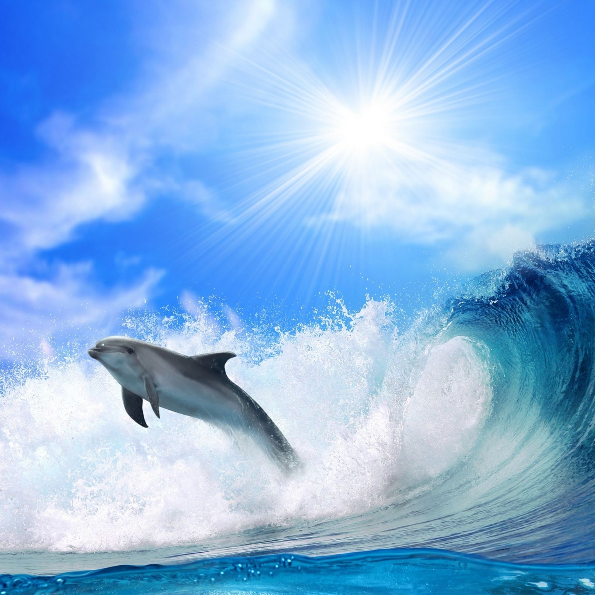 Dolphin Waves Jump iPad Air wallpaper 