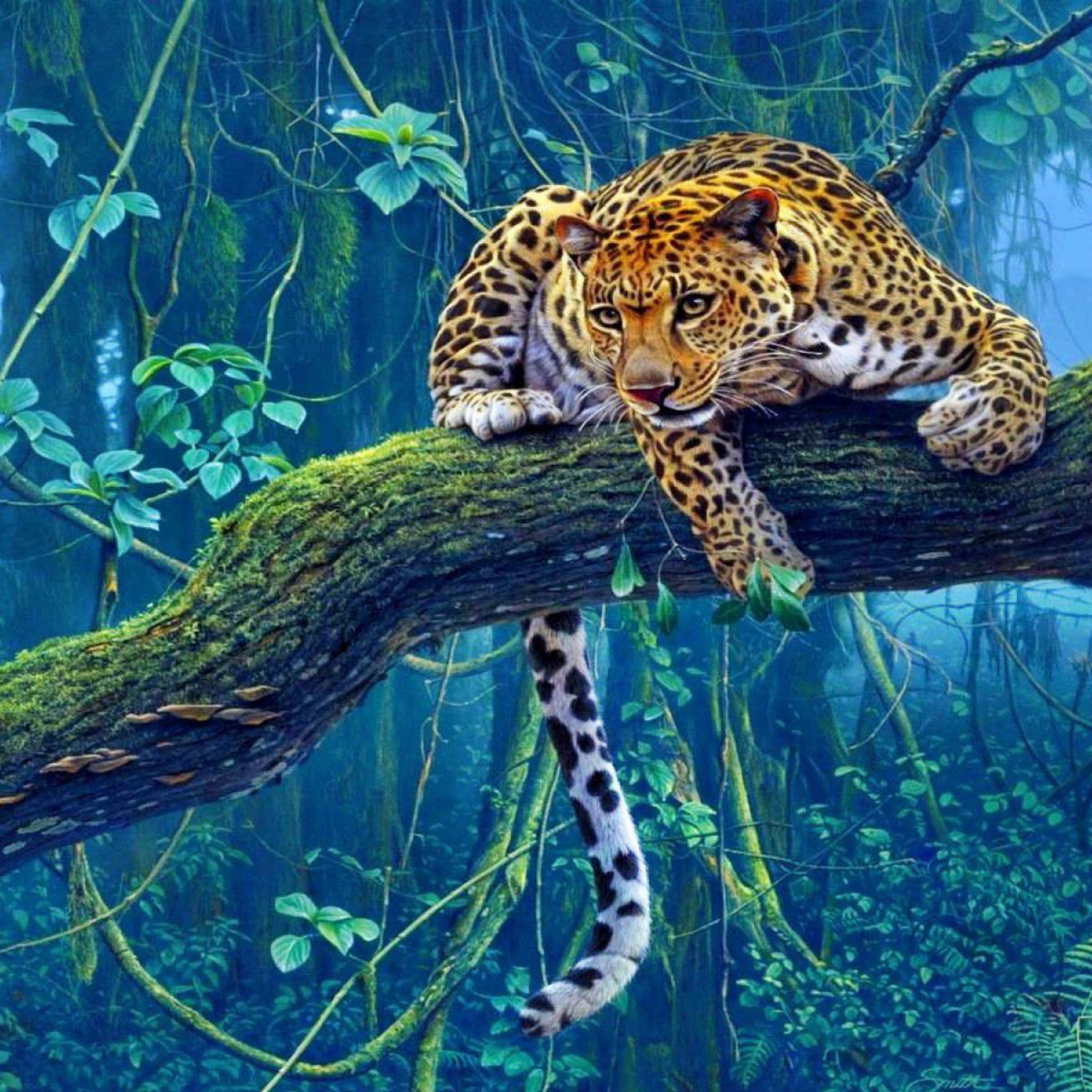 Jungle Big Leopard iPad Air wallpaper 