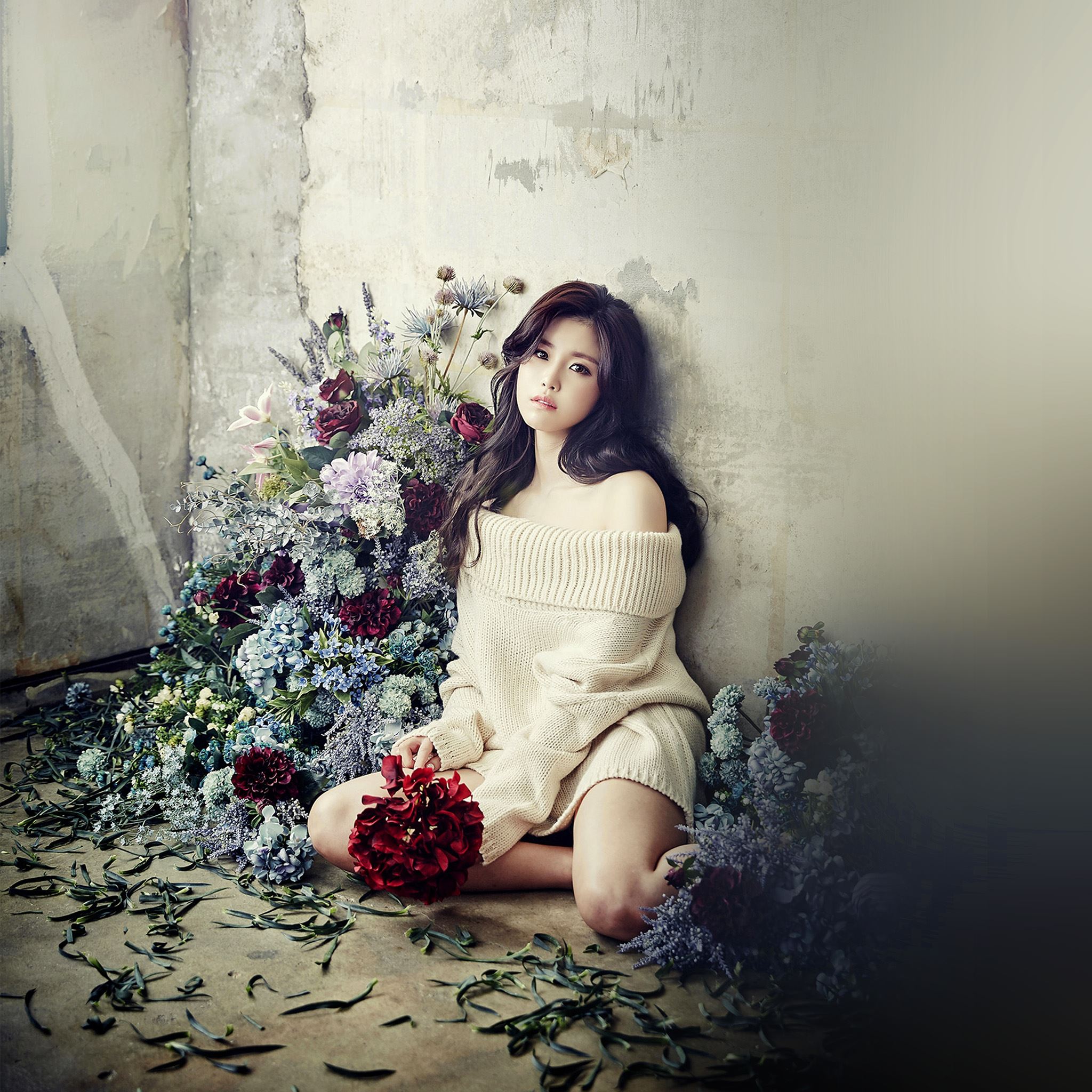 Flower Girl Hyosung Girl Kpop Celebrity iPad Air wallpaper 