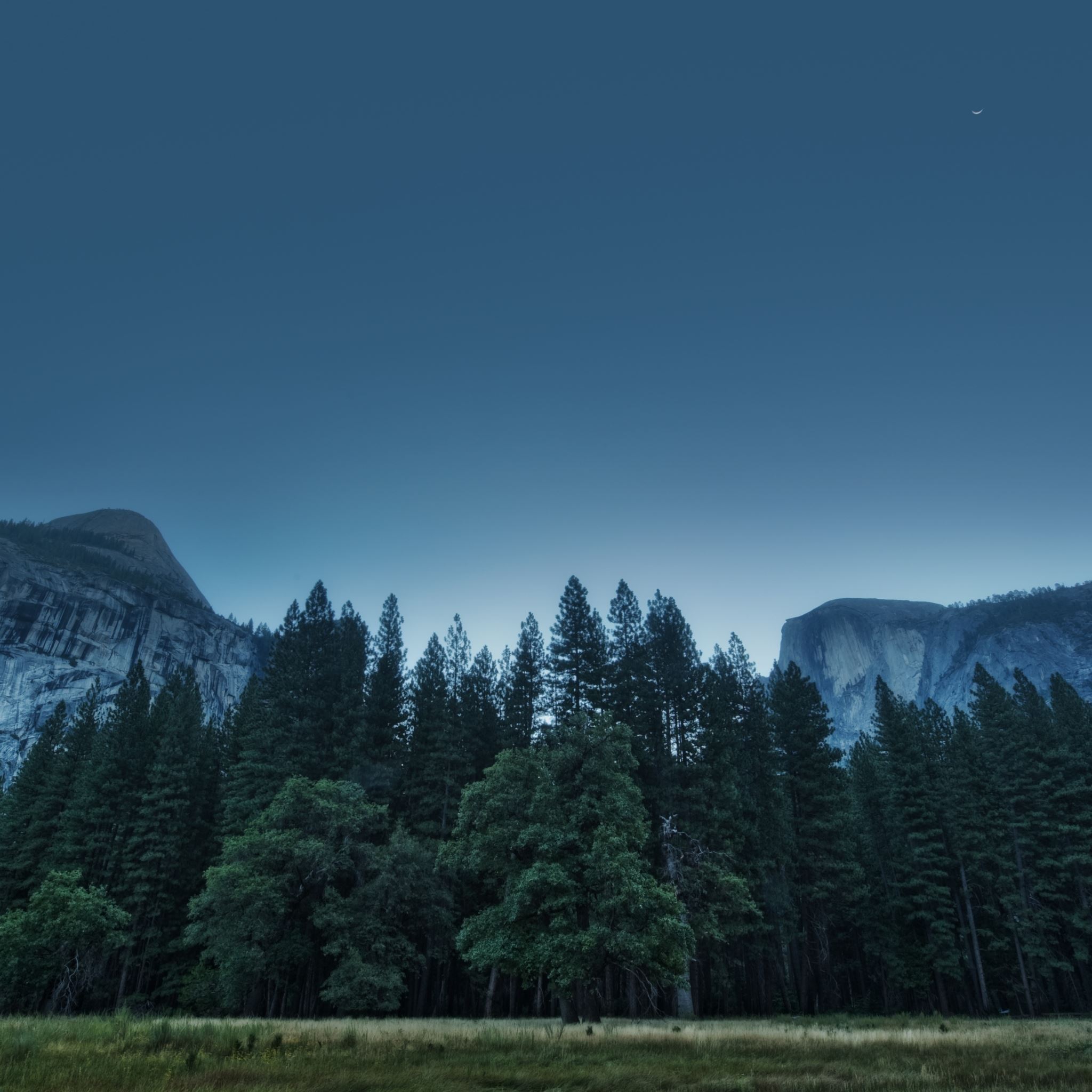 Trees Forest Mountains USA California Yosemite Valley National Park iPad Air wallpaper 