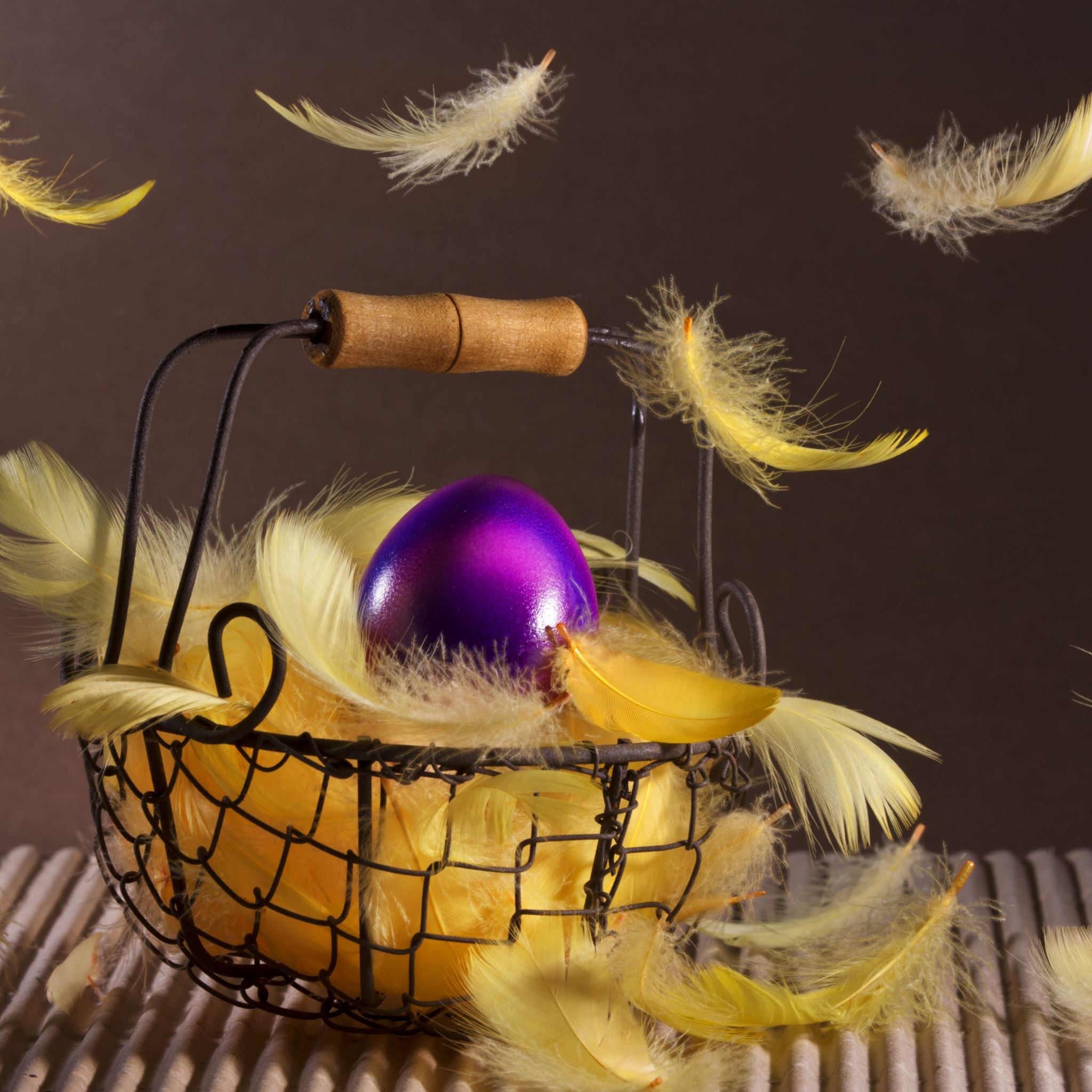 Easter basket feathers egg iPad Air wallpaper 