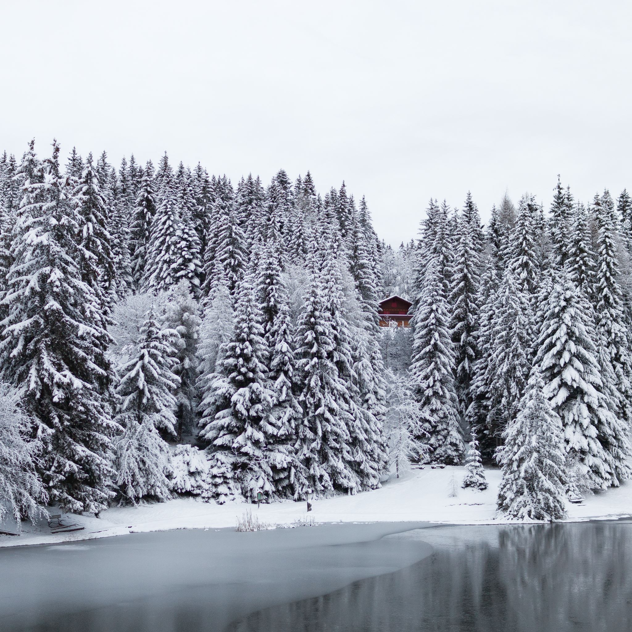 Small Lake in Switzerland iPad Air wallpaper 