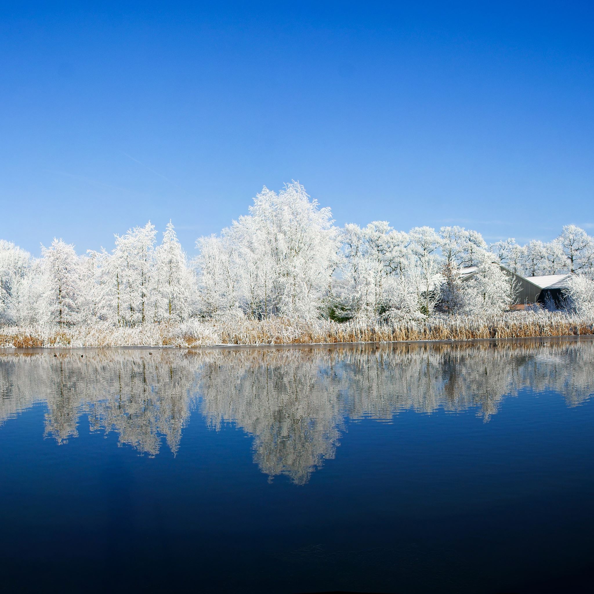 Panoramic Photography Winter iPad Air wallpaper 