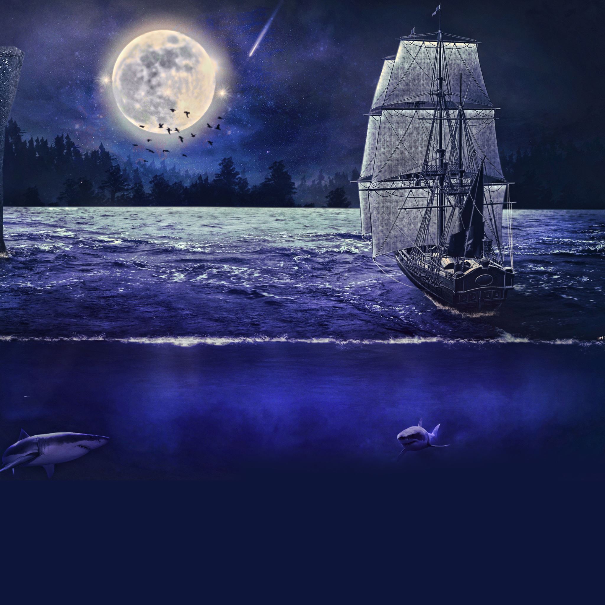 Moonlight sail iPad Air wallpaper 