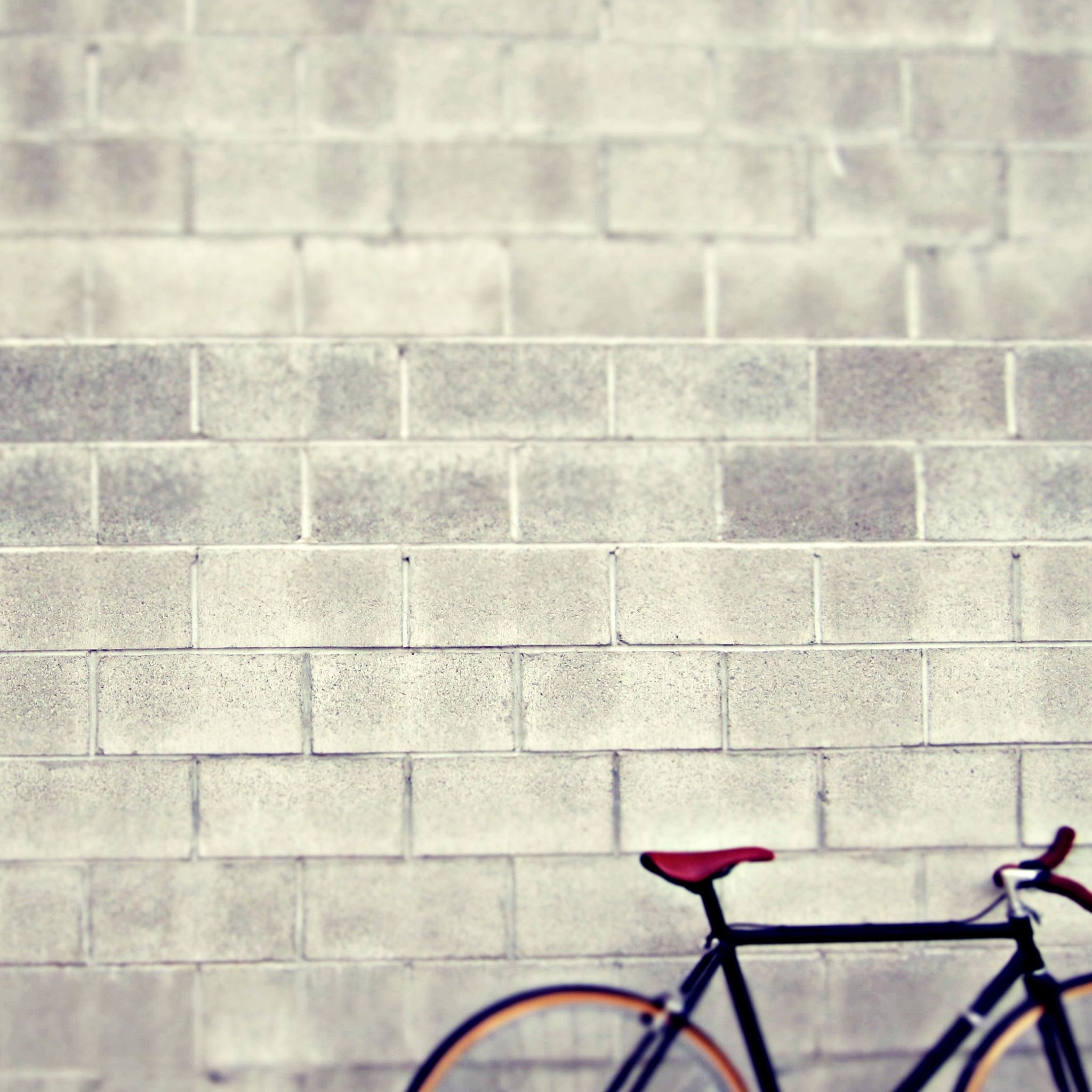 Schwinn bicycle iPad Air wallpaper 