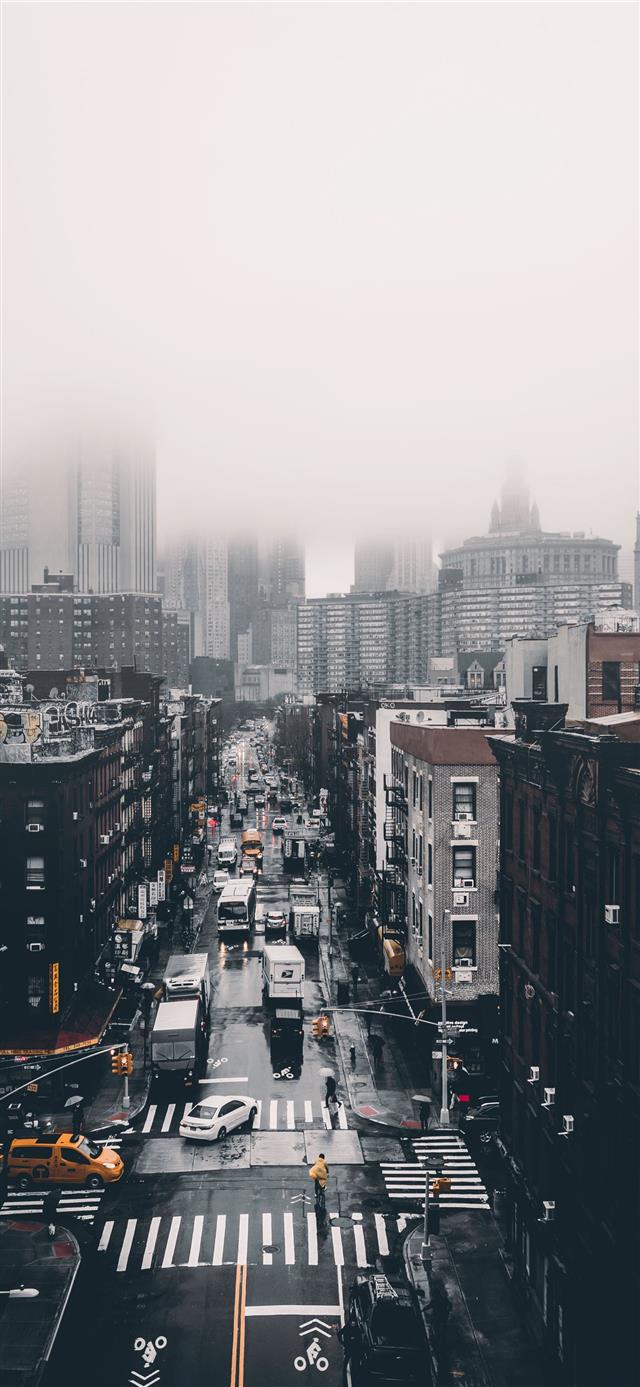 Foggy Day  iPhone 12 wallpaper 