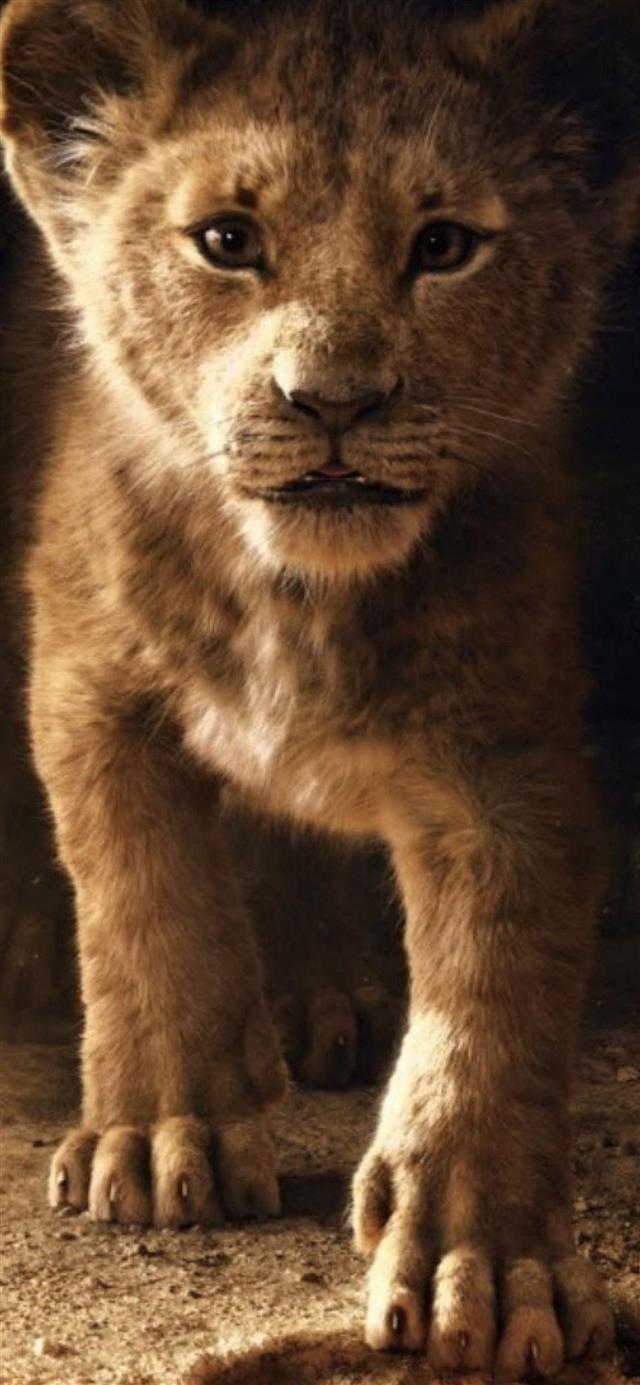 the lion king simba 2019 4k iPhone 12 wallpaper 