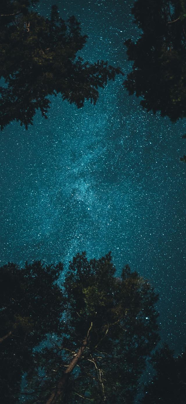 starry night iPhone 12 wallpaper 