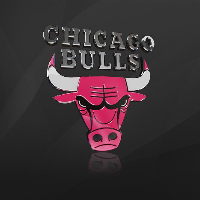 Chicago Bulls iPad wallpaper 