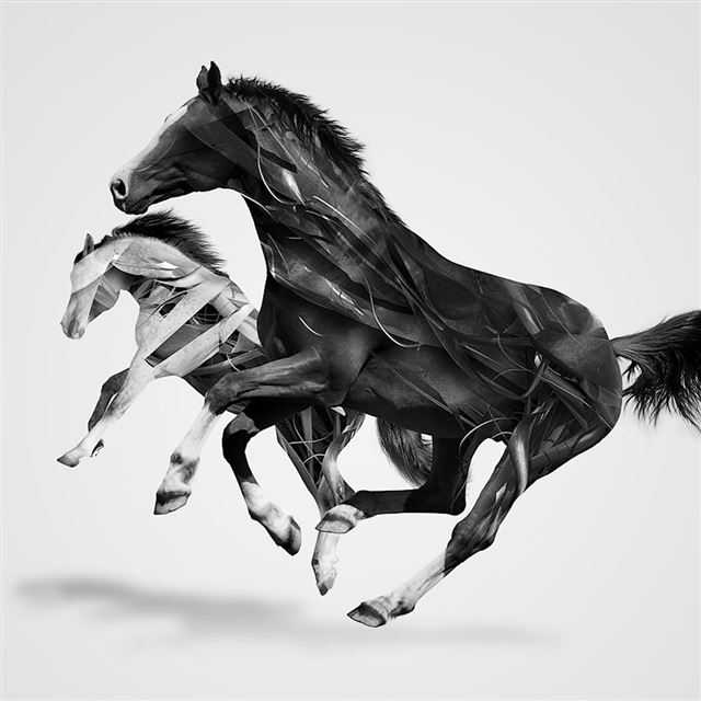 Horses iPad wallpaper 
