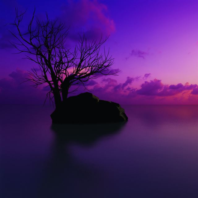 Purple Sunset iPad wallpaper 