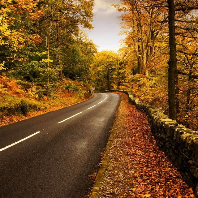 Autumn highway iPad wallpaper 