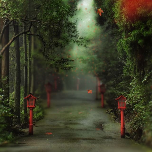 Alley In The Forest iPad wallpaper 