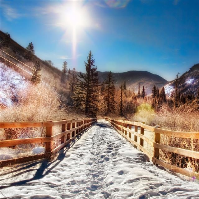 Aspen Trail Winter iPad wallpaper 
