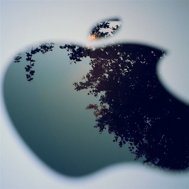 Apple Logo Computer iPad wallpaper 