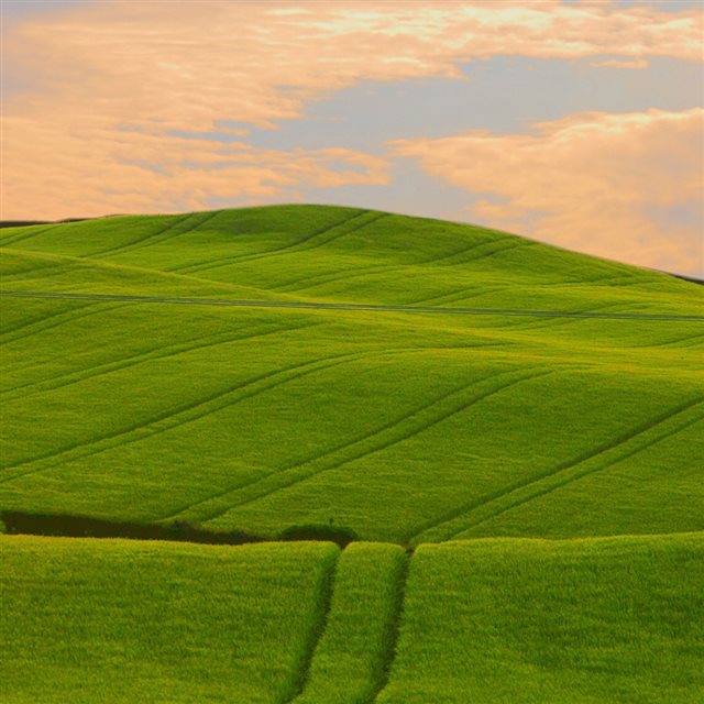 Green wavy hills iPad wallpaper 