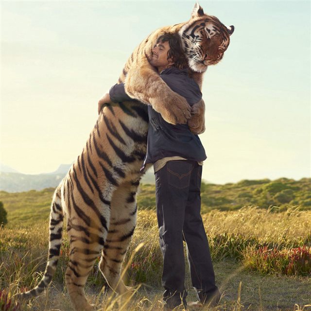 the warm hug with the huge tiger iPad wallpaper 