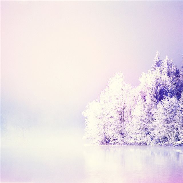 Dreamy Snowy Forest iPad wallpaper 