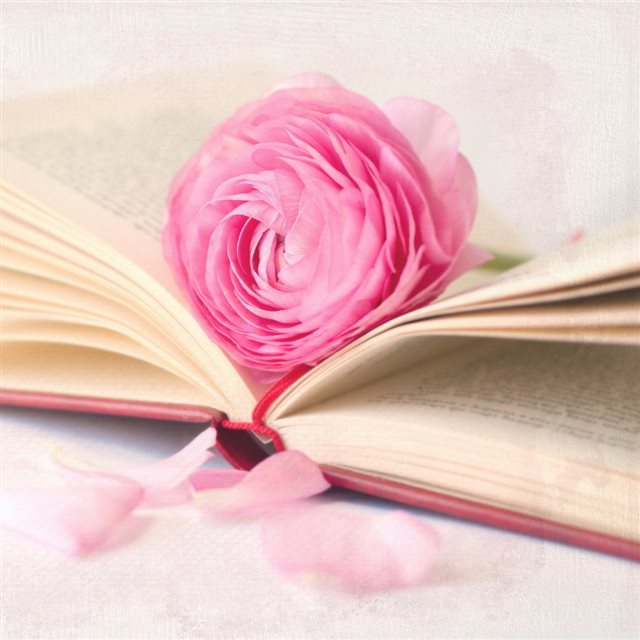 Romantic Flower Book iPad wallpaper 