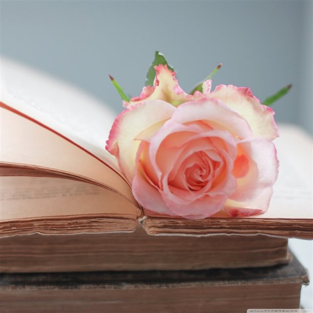 Rose Book iPad wallpaper 