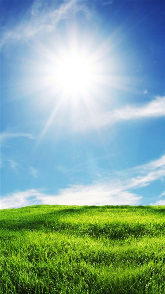 Sunshine and Grass iPhone 8 wallpaper 