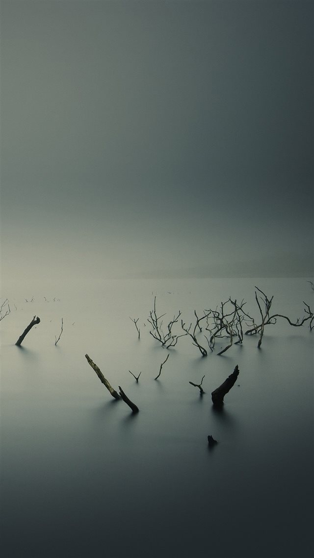 Ubuntu Gnome Mist Fog Underwater Trees iPhone 8 wallpaper 
