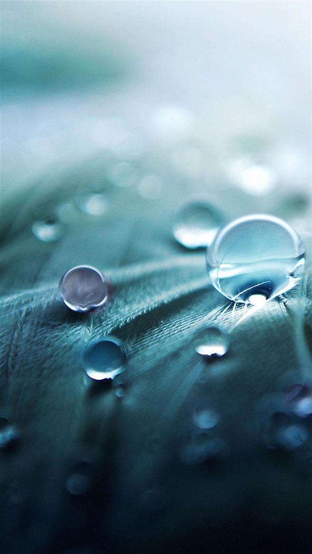 Water Drops iPhone 8 wallpaper 