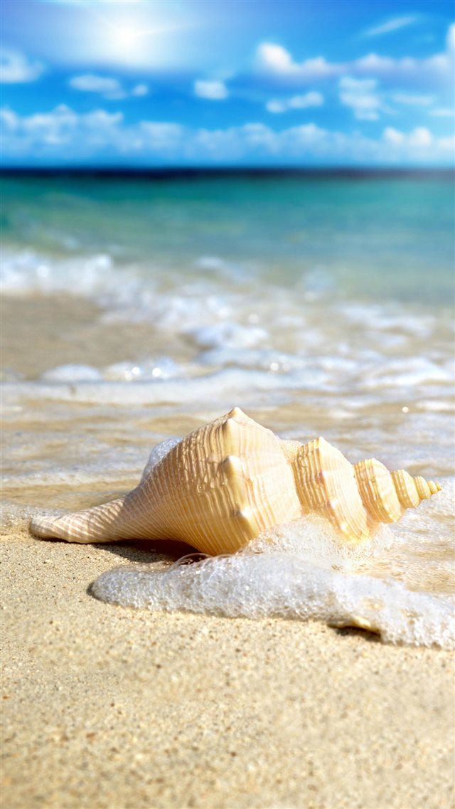 White Seashell In Waves iPhone 8 wallpaper 