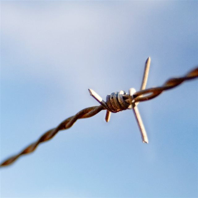 Simple Barbed wire iPad wallpaper 