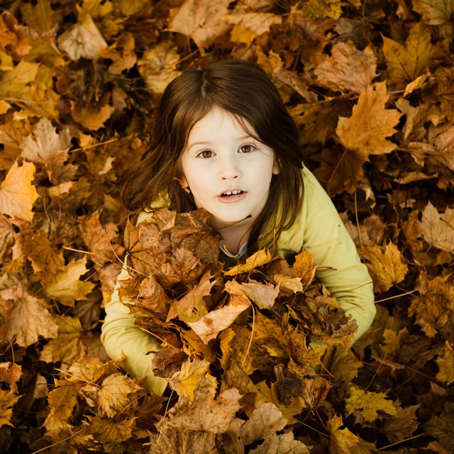 Cute Beautiful Girl In Autumn Leaves iPad wallpaper 