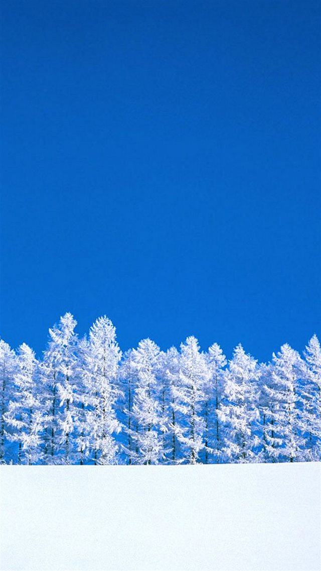 Nature Pure Snowy World iPhone 8 wallpaper 