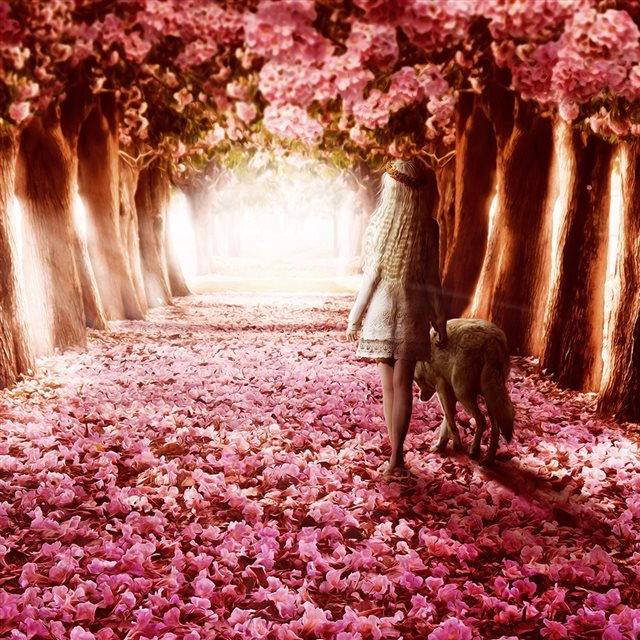Dreamy Flower Path iPad wallpaper 