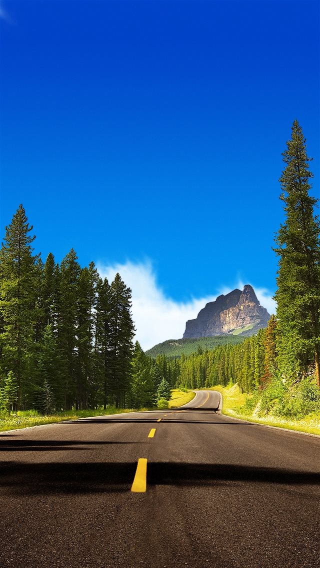 Road Wandering In Mountain Forest iPhone 8 wallpaper 