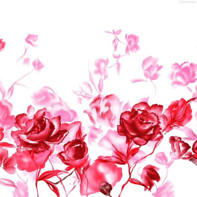 Valentines Day Roses iPad wallpaper 