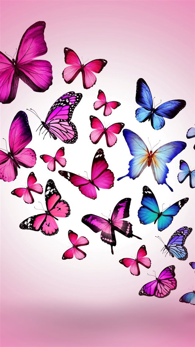 Butterfly Drawing Flying Colorful Background Pink iPhone 8 wallpaper 