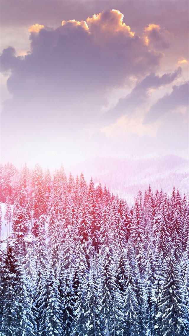 Winter Snow Trees Mountains Forest Sky Clouds iPhone 8 wallpaper 