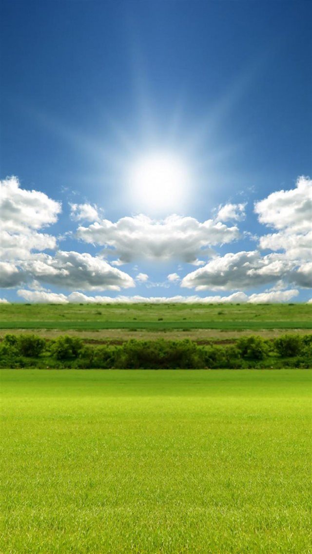 Sunlight Nature Green Field Sky iPhone 8 wallpaper 