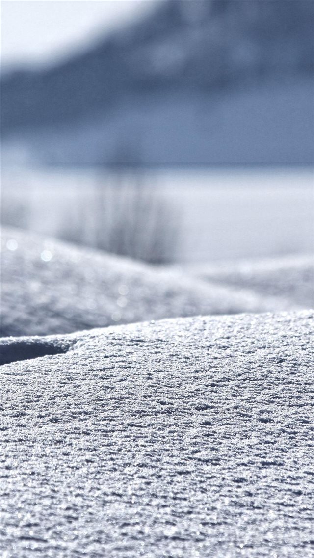 Winter In My Backyard iPhone 8 wallpaper 