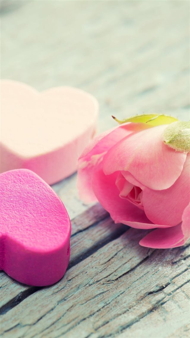 Heart Flower Tenderness Pink iPhone 8 wallpaper 