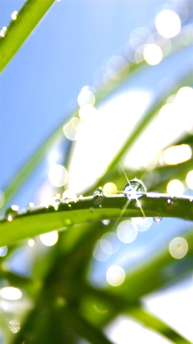 Sunshine Bling Water Drop Landscape iPhone 8 wallpaper 