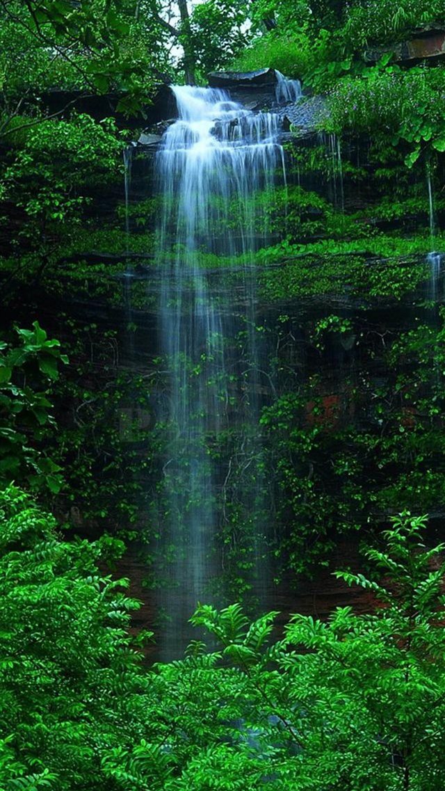 Nature Forest Waterfall iPhone 8 wallpaper 