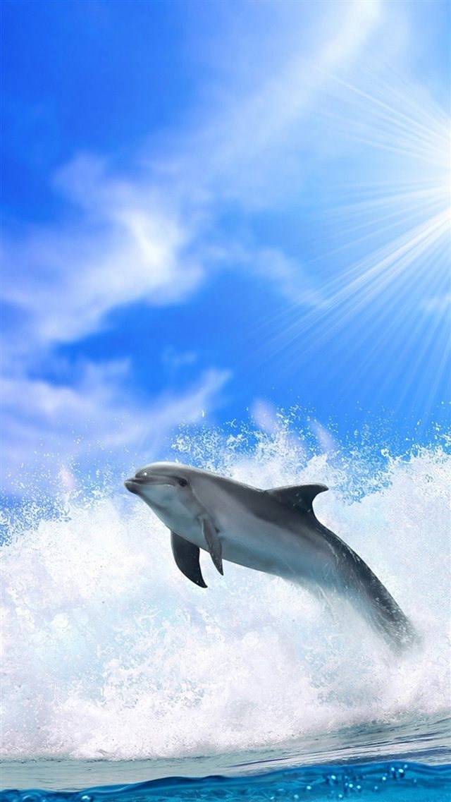 Ocean Jumping Dolphin Under Sunlight iPhone 8 wallpaper 