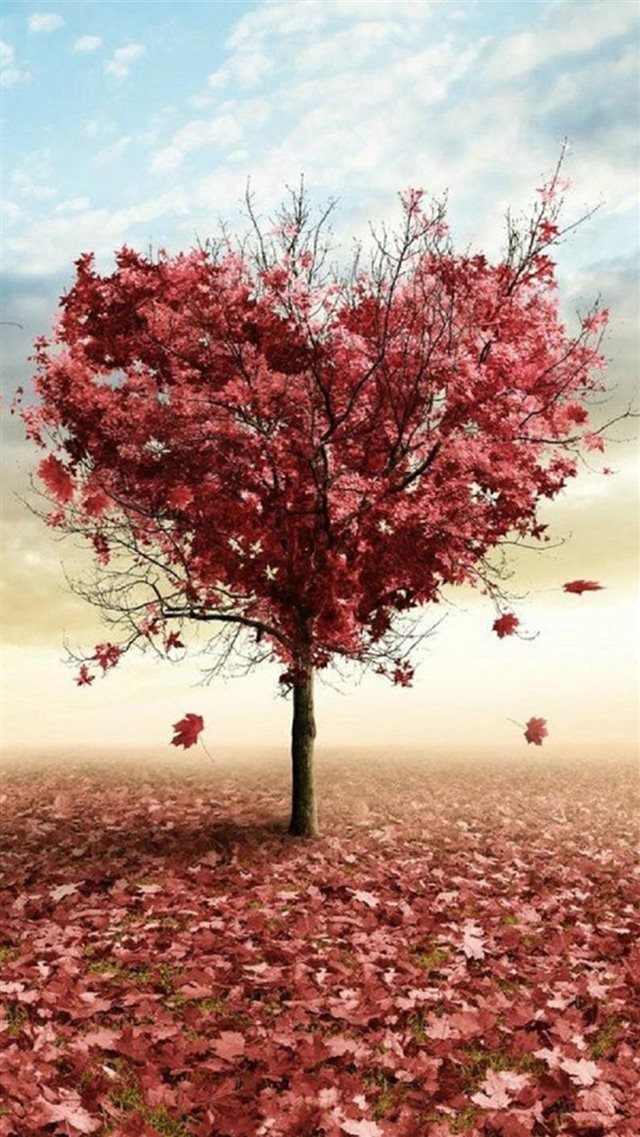 Nature Red Love Fall Tree iPhone 8 wallpaper 