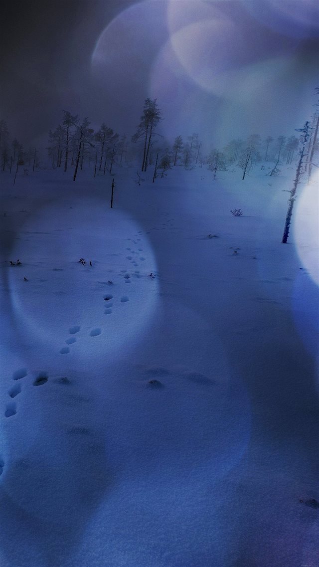 Snow Walk Winter Dark Blue Bokeh Footprints Nature iPhone 8 wallpaper 