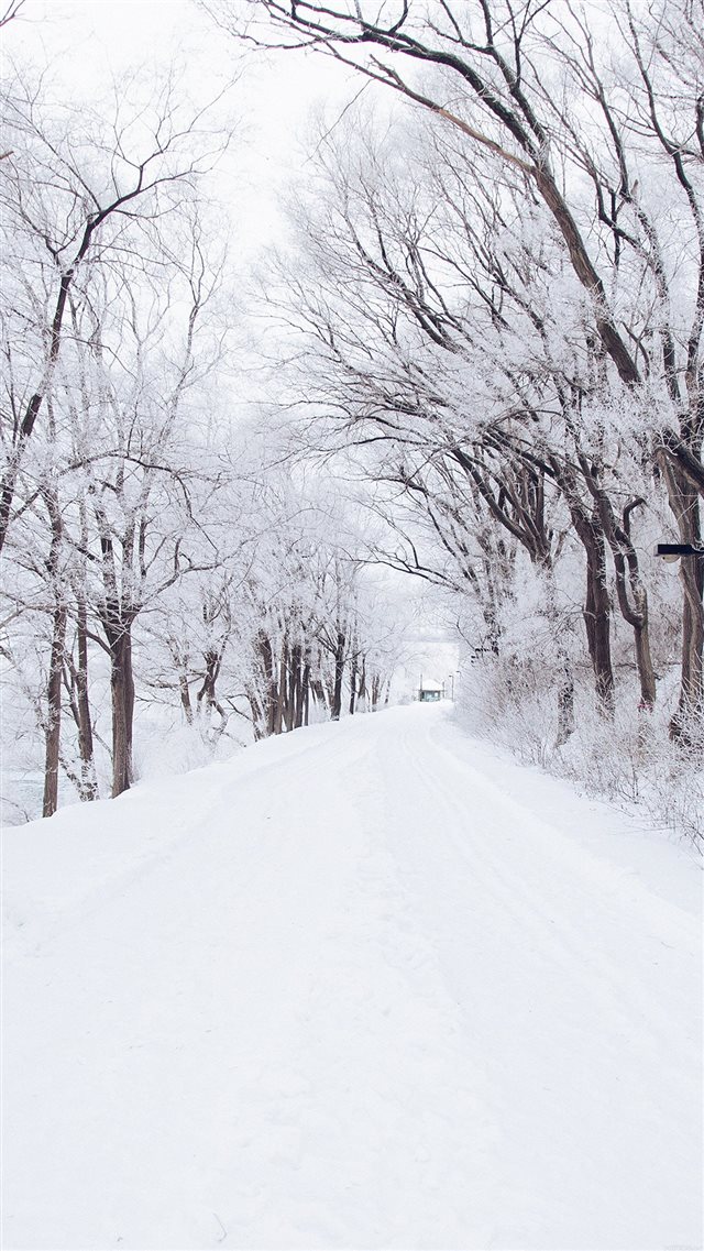 Winter Road Romantic Nature Snow White iPhone 8 wallpaper 