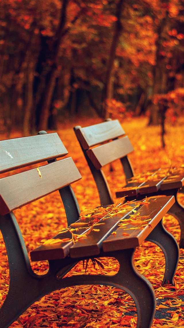 Nature Autumn Fall Leaves On Roadside Bench iPhone 8 wallpaper 