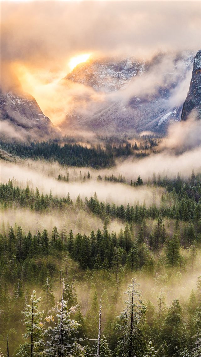 Nature Foggy Forest Mountains Landscape iPhone 8 wallpaper 